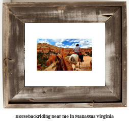 horseback riding near me in Manassas, Virginia